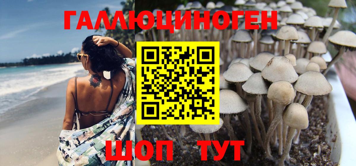 Галлюциногенные грибы MAGIC MUSHROOMS  Вход с VPN  Бугуруслан 