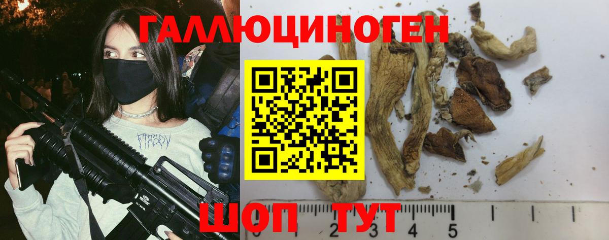 Галлюциногенные грибы Psilocybine cubensis Бугуруслан